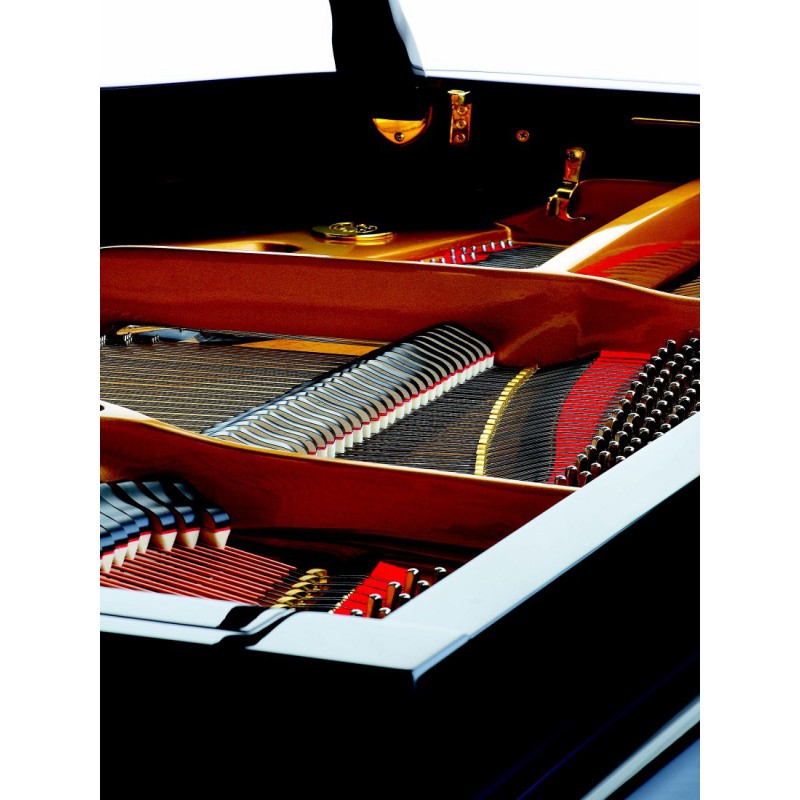 piano-1-4-de-queue-petrof-p159-bora-2.jpg