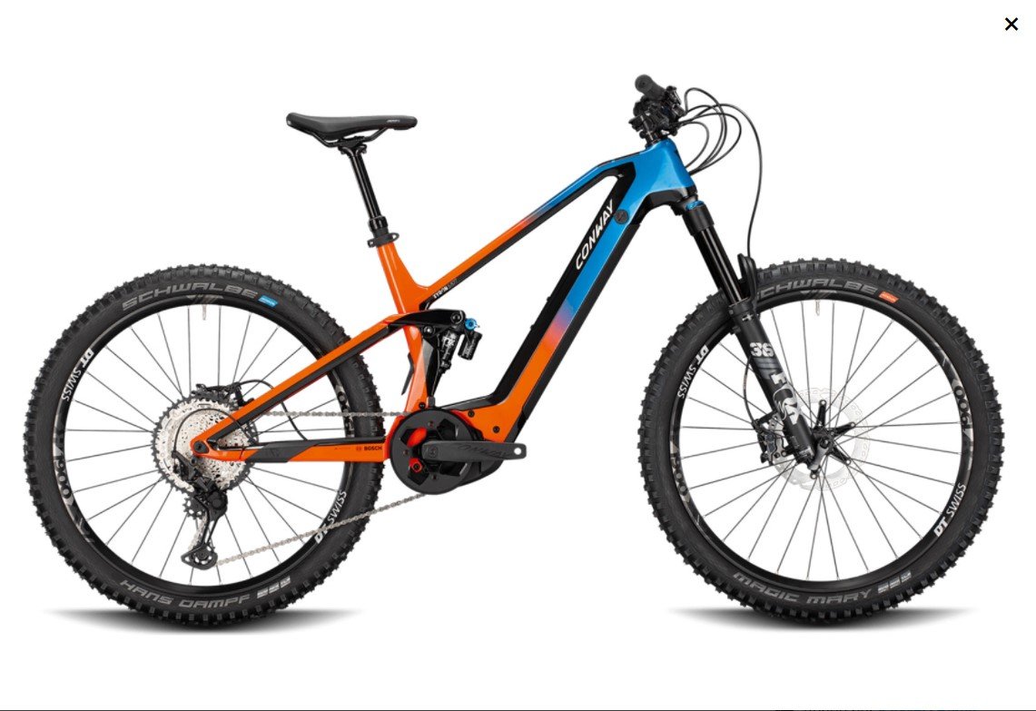 VTT-CONWAY-ROSE-1.jpg